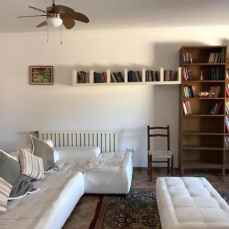 2+1 Amazing House In *