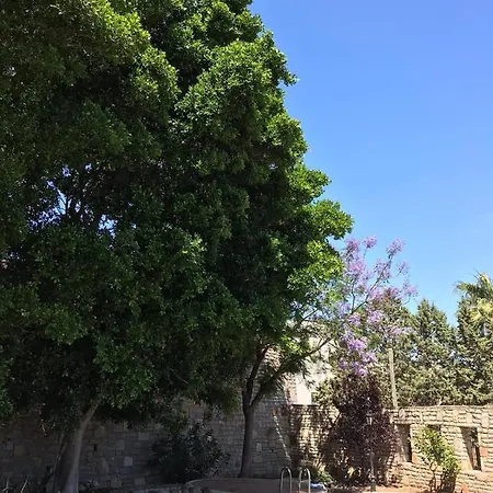 2+1 Amazing House In Bodrum
